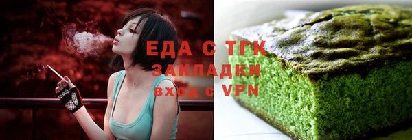 хмурый Аркадак