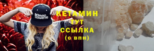 хмурый Аркадак