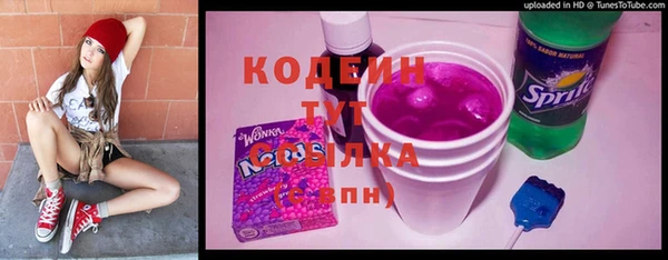 хмурый Аркадак