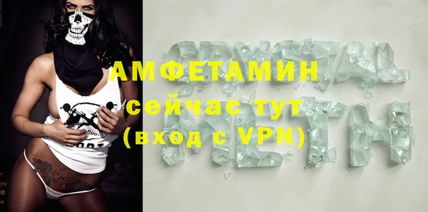 гидра Арсеньев