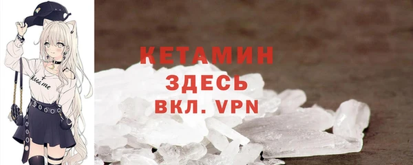 хмурый Аркадак