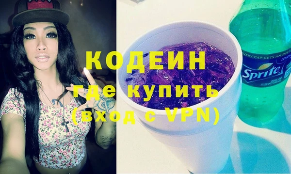 хмурый Аркадак