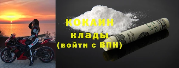 хмурый Аркадак