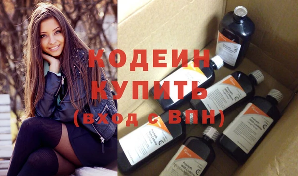 хмурый Аркадак