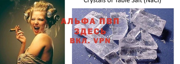хмурый Аркадак