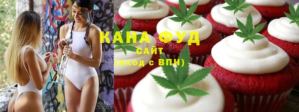 хмурый Аркадак
