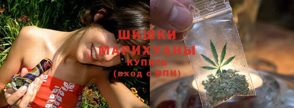 винт Майский