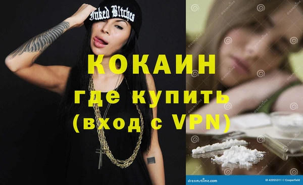 хмурый Аркадак