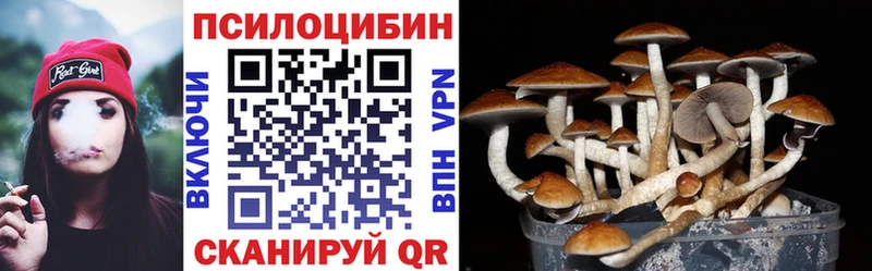 Псилоцибиновые грибы Psilocybine cubensis  Скопин 